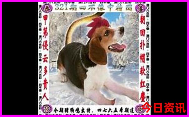 中国100个最美的地方